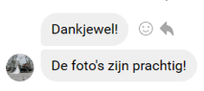Lovende Woorden voor Onze Huwelijksfotograaf LVWOP