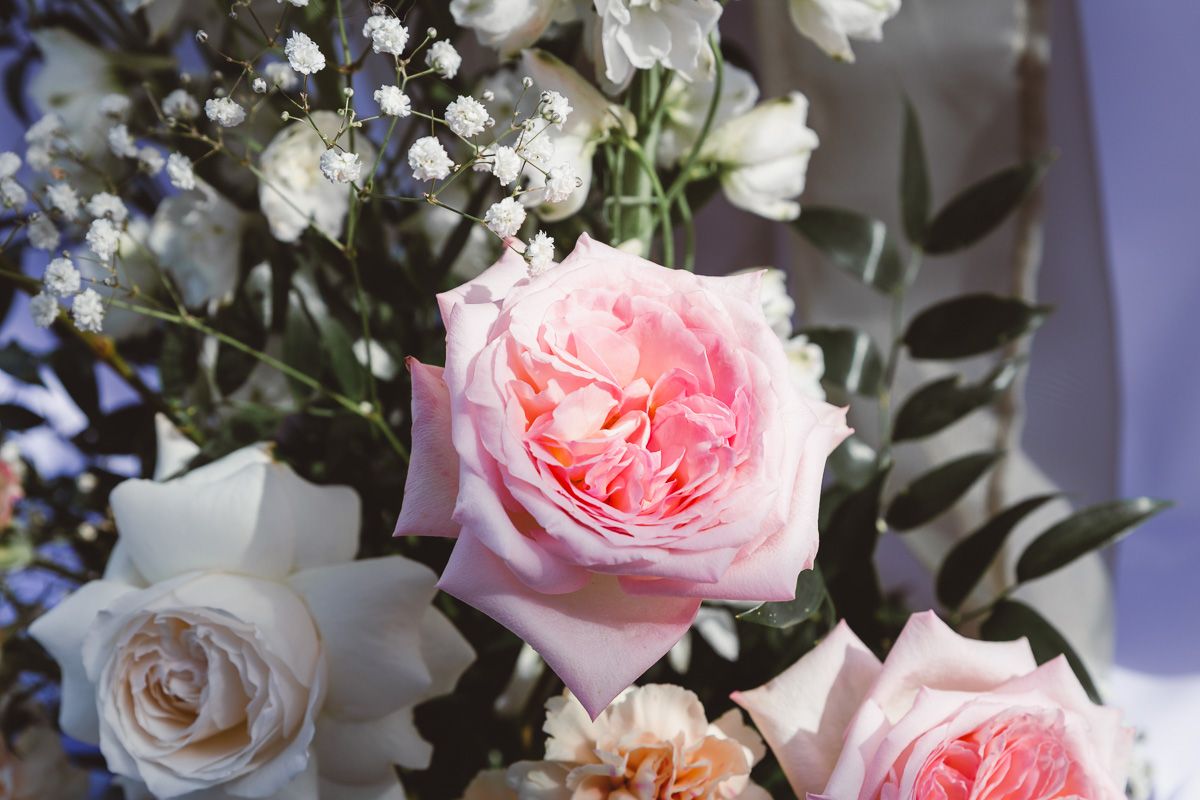 Socialmed-Styled Shoot_IMG_9174