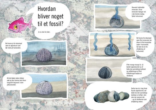 hvordan bliver noget til et fossil beskåret