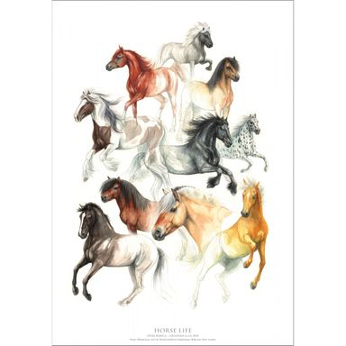 koustrup-plakat-heste-a2
