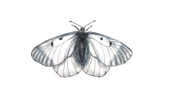 mnemosyne