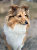 Maya 11.04.21