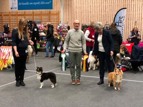 Valpeshow Rakkestad 2019 - Torill 2