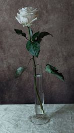 Tema: Solitär 