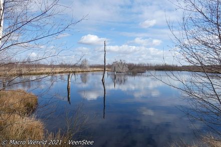 Veenstee.02