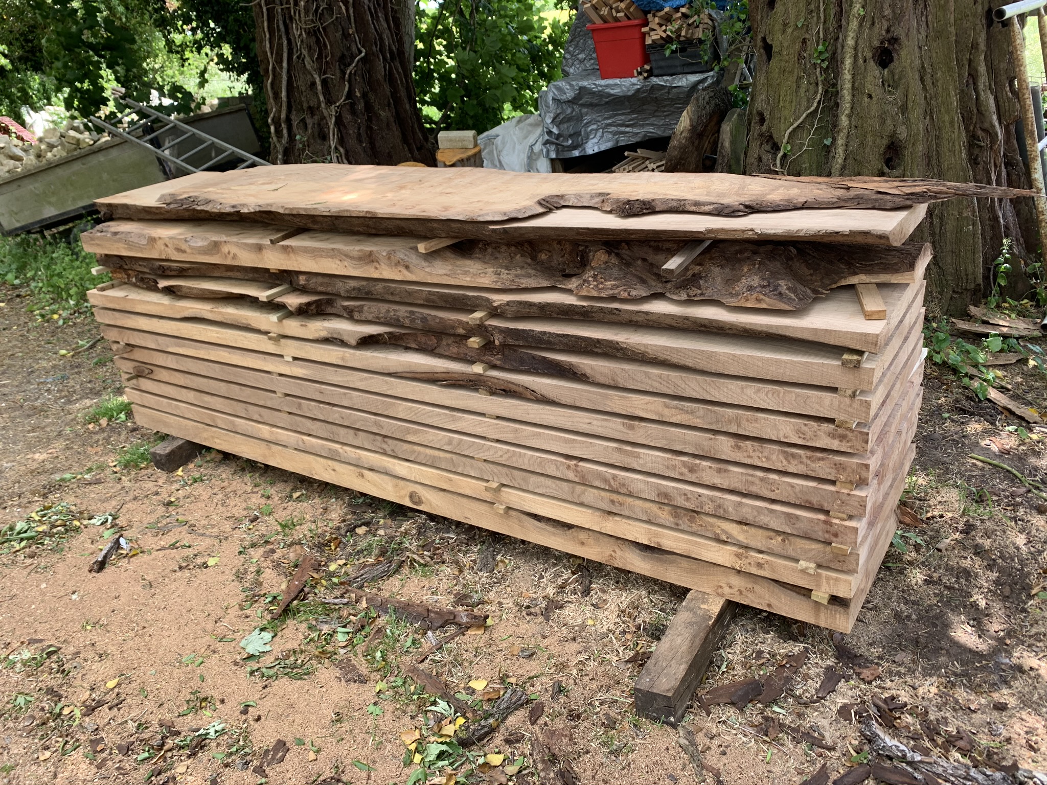 English Elm boards