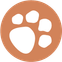 Dog Walking Service in Sutton, Kingston, Wimbledon & Esher