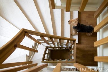 Bostadsfoto-2