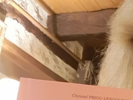 Parution récente du livre 