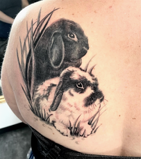 Cover Up