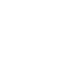 Magic Bus Music