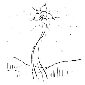 betlehemsstjerna