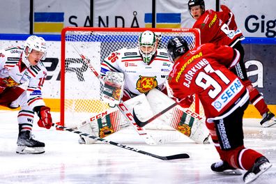 Vita Hästen 08