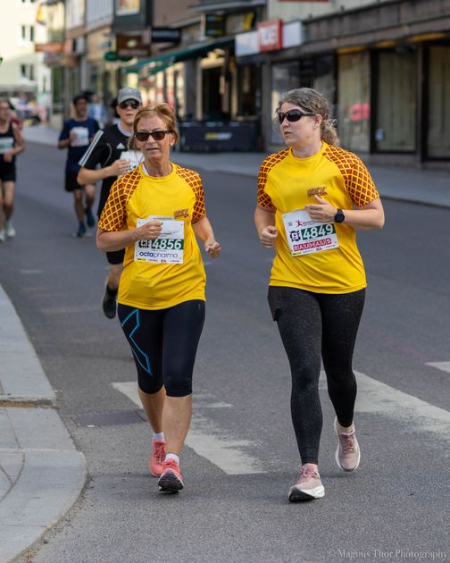Blodomloppet 2024-5772