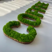NordEnergy