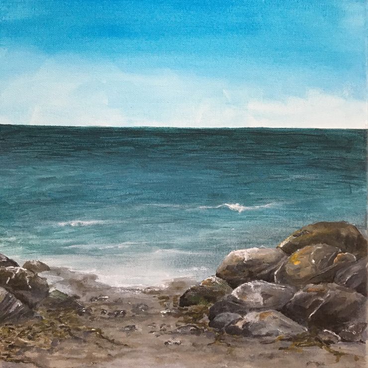 strand med tång och sten