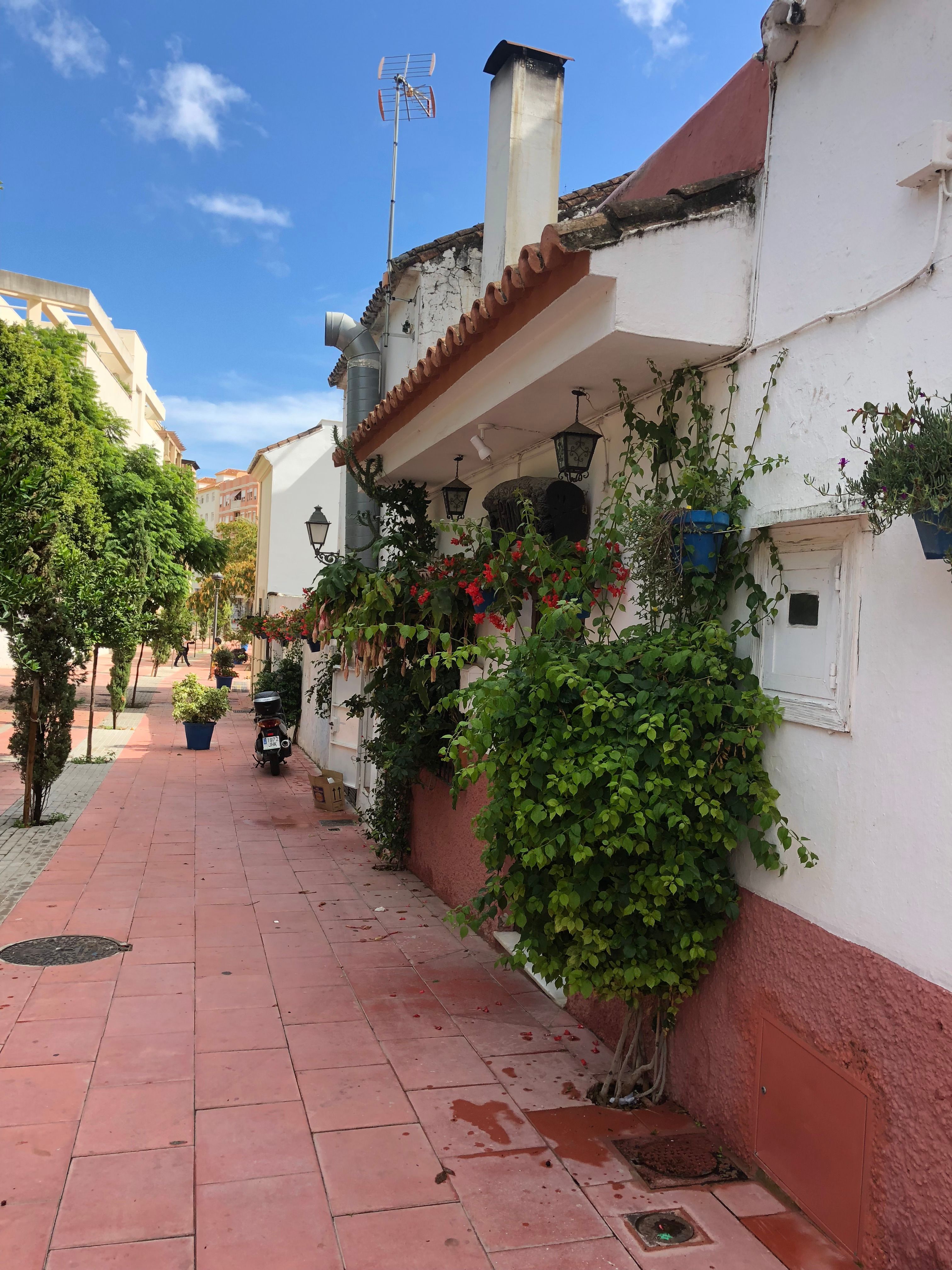 Estepona