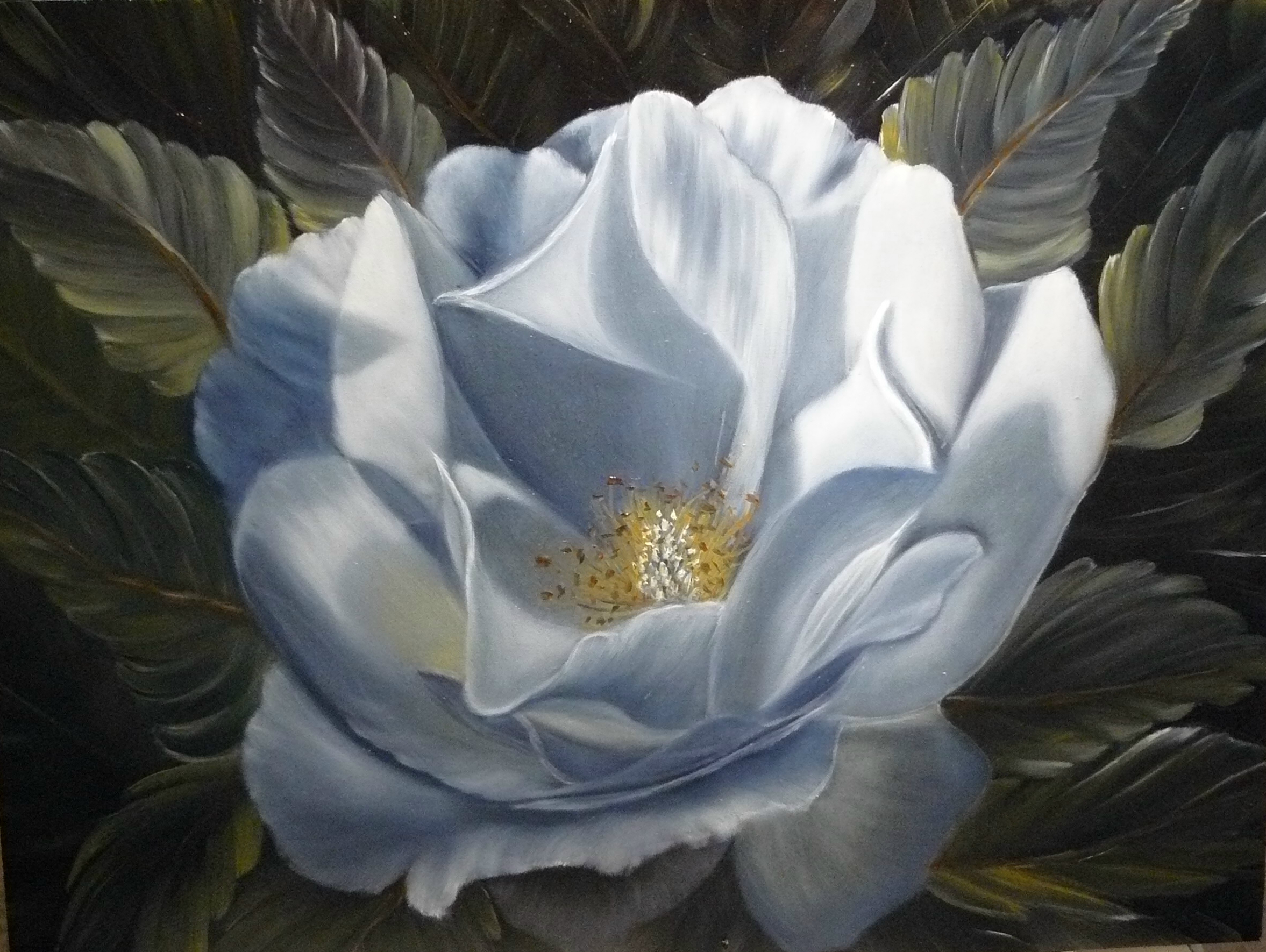 "Vita rosen". Olja på panel. 30x40 cm.