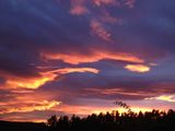 IMG_0538