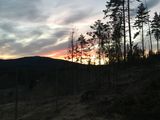 IMG_1336