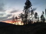 IMG_1339 (1)