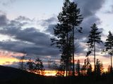 IMG_1367