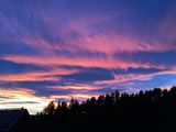 IMG_6320