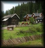 IMG_9547 2