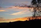 _DSC0015 10