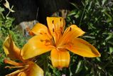 _DSC0015 5