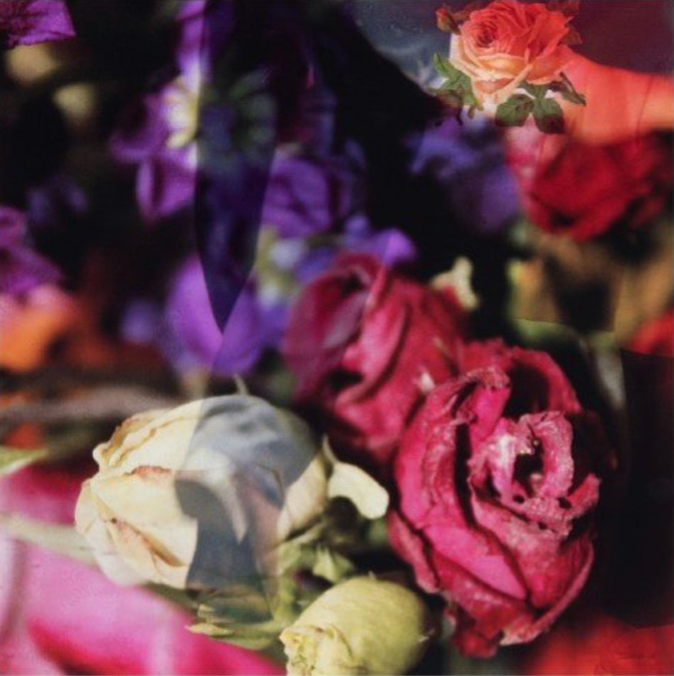 Cornelia Rapp Bildobjekt Collage von Rosen und Blüten