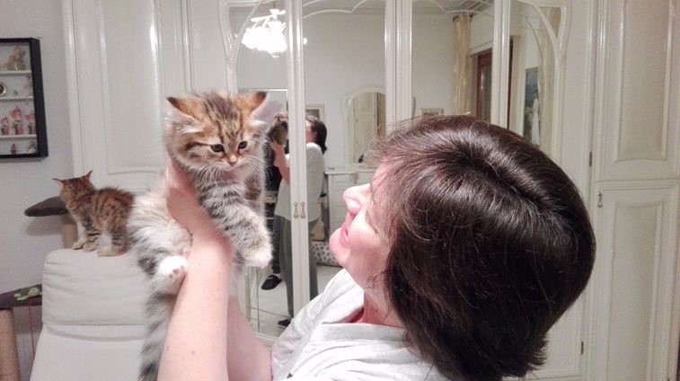 Gatto ipoallergenico allevamento Mamgiory Cell.: 0039  340 9696310                E-mail: agostinocutrono@gmail.com