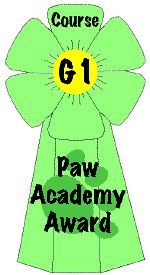 gatto siberiano diploma corso pawpeds