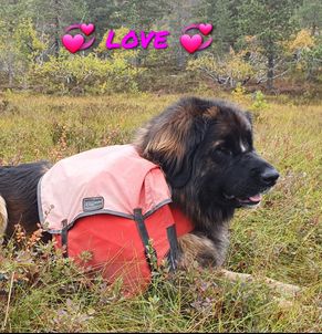Love10