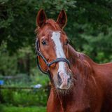 _MG_0837b