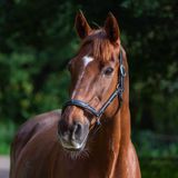_MG_1315b