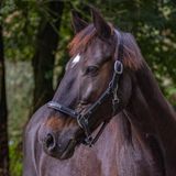 _MG_1722b