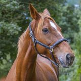 _MG_3071b