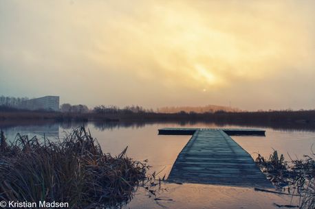 ved Råmosen - uden for byen