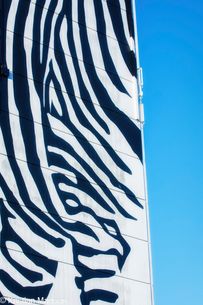 Zebrastriber - Højhus i Ballerup