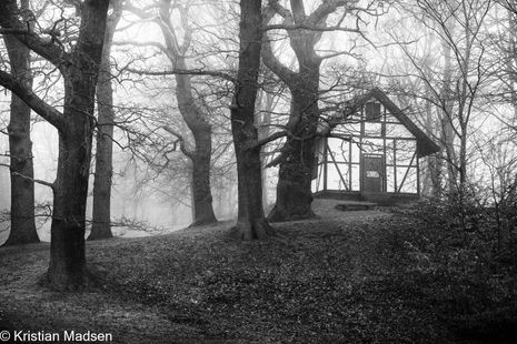 The Swiss House - Kongens Lyngby