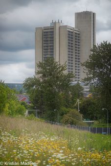 Herlev Hospital