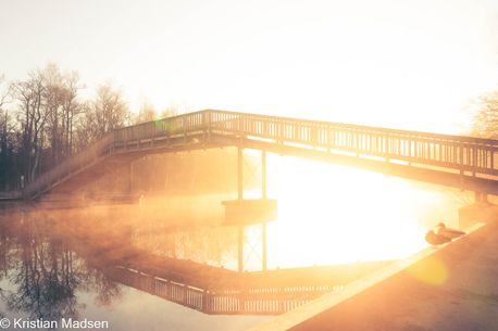 Lyngby Sø - Morgenlys