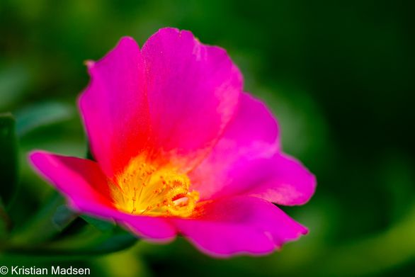 IMG_0105-Edit