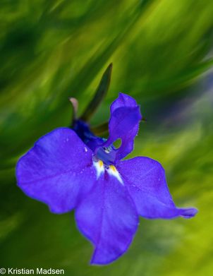IMG_0276-Edit