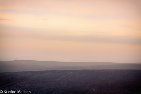 Plowed field
