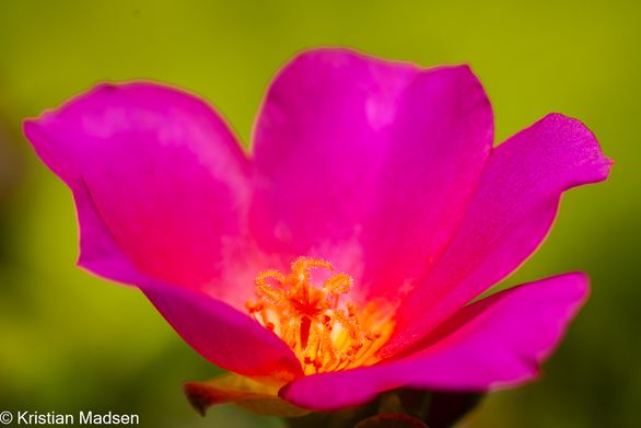 IMG_0308-Edit-2