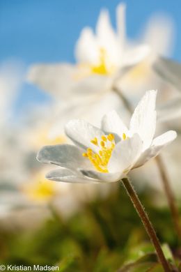 IMG_1177-Edit