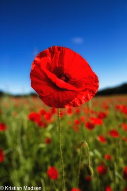 IMG_1713-Edit