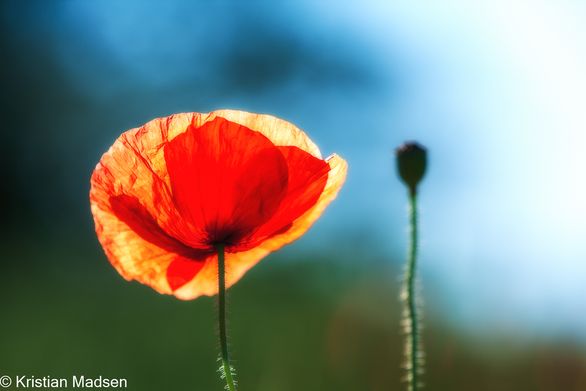 IMG_1769-Edit